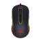 M702-2 Mouse in Iraq