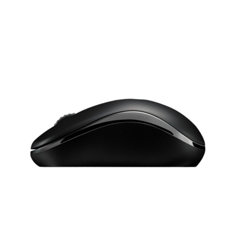 Rapoo M10 Plus Wireless Optical Mouse - Black